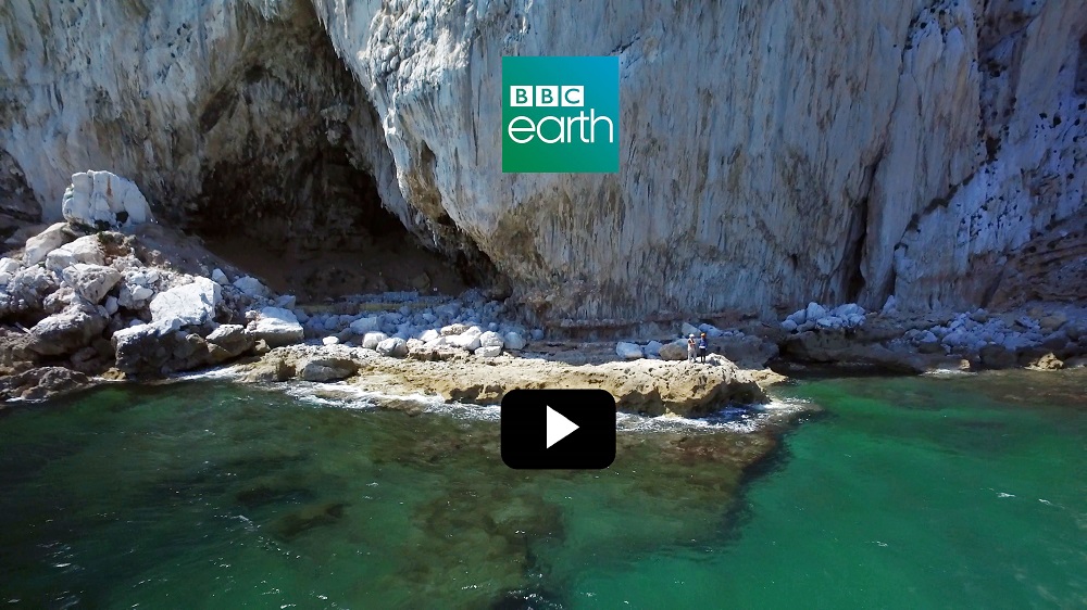 Documental BBC Earth